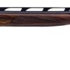 CZ All-American-Single-Trap 12-gauge 34-inches Walnut-Stock 3in-Chamber