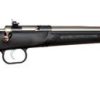 Crickett Youth Gen 2 Black/Stainless .22 LR 16.1" Barrel 1-Rounds