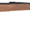 Howa 1500 Standard Hunter Walnut .30-06 Springfield 22" Barrel 5-Rounds