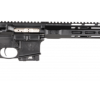 Wilson Combat Protector Carbine 300 Blackout 16.25" Barrel 10 RDs *CA Compliant