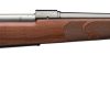 Winchester M70 Featherweight Walnut / Blued .270 WSM 24" Barrel 3-Rounds